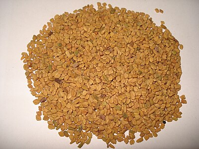 Fenugreek
